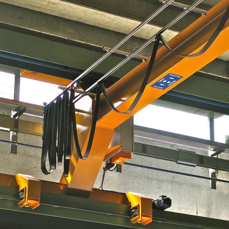 Gru a bandiera-a-bicicletta